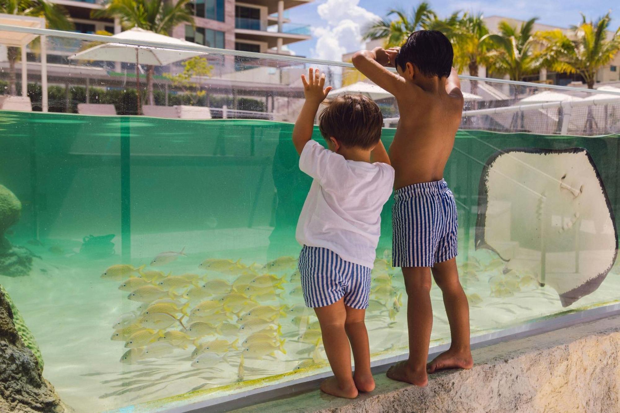 The St Regis Longboat Key Resort Eksteriør bilde